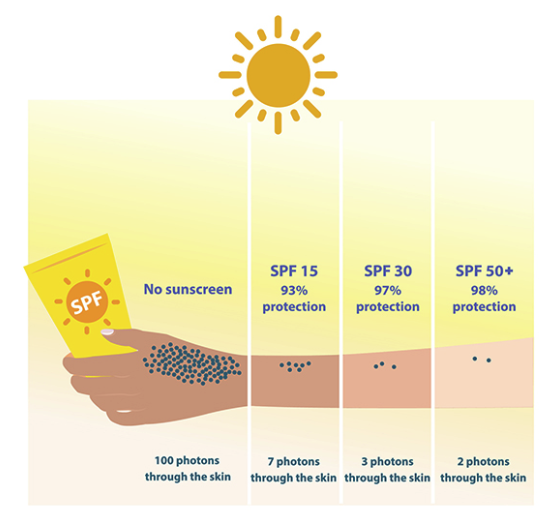spf sunscreen comparison